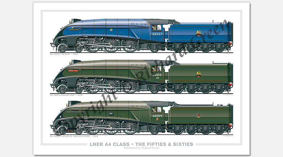 LNER 4-6-2 A4 Class – The Fifties and Sixties. No. 60027 Merlin (1950), No. 60014 Silver Link (1956), No. 60009 Union of South Africa (1964) (N. Gresley) Steam Locomotive Print