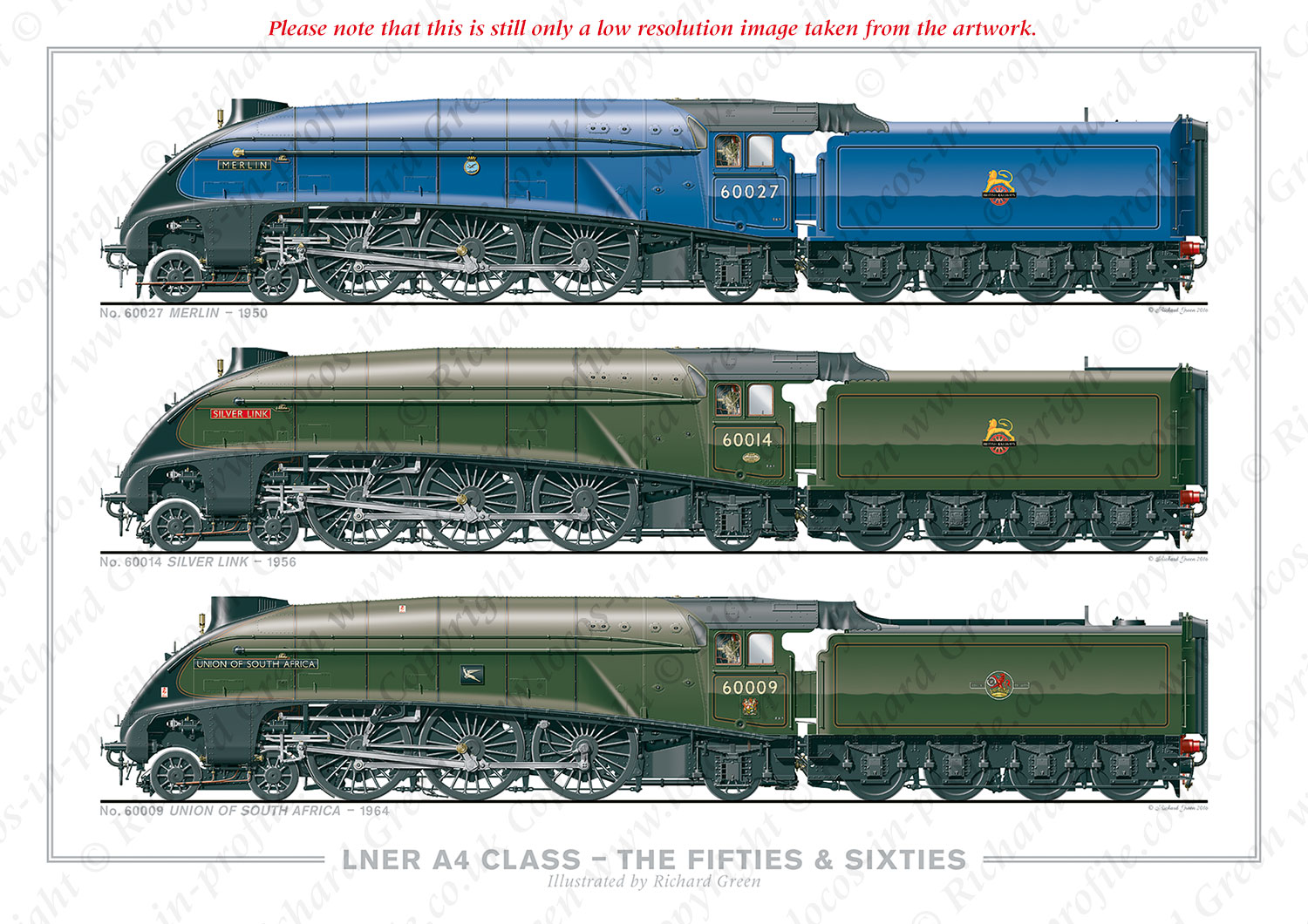 LNER 4-6-2 A4 Class and The Fifties & Sixties. No. 60027 Merlin (1950), No. 60014 Silver Link (1956), No. 60009 Union of South Africa (1964) (N. Gresley) Steam Locomotive Print
