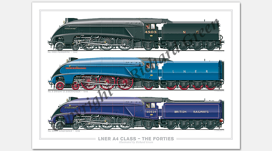 LNER 4-6-2 A4 Class – The Forties. No. 4903 Peregrine (1942), No. 8 Dwight D. Eisenhower (1946), No. 60024 Kingfisher (1948) (N. Gresley) Steam Locomotive Print