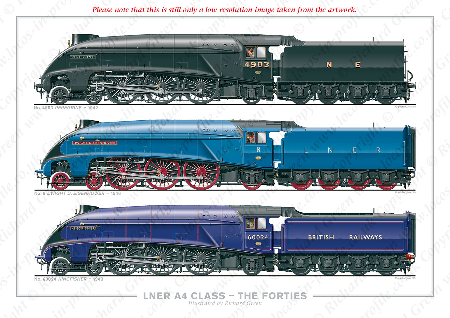 LNER 4-6-2 A4 Class – The Forties. No. 4903 Peregrine (1942), No. 8 Dwight D. Eisenhower (1946), No. 60024 Kingfisher (1948) (N. Gresley) Steam Locomotive Print