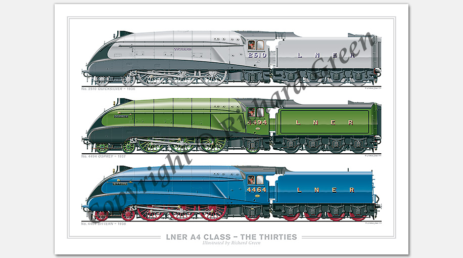 LNER 4-6-2 A4 Class – The Thirties. No. 2510 Quicksilver (1936), No. 4494 Osprey (1937), No. 4464 Bittern (1938) (N. Gresley) Steam Locomotive Print